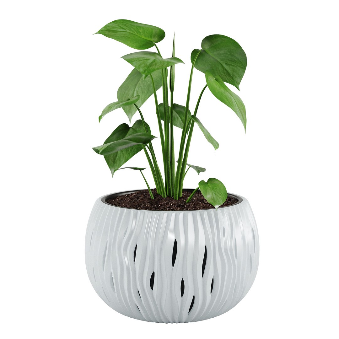 3D Houseplant 91 Prosperplast Sandy Bowl planters https://p.turbosquid.com/ts-thumb/sp/U9mF1Y/Yo/03/jpg/1746507552/1920x1080/fit_q87/c10c39b5e0305c661f7f4063522d8fb14660666a/03.jpg