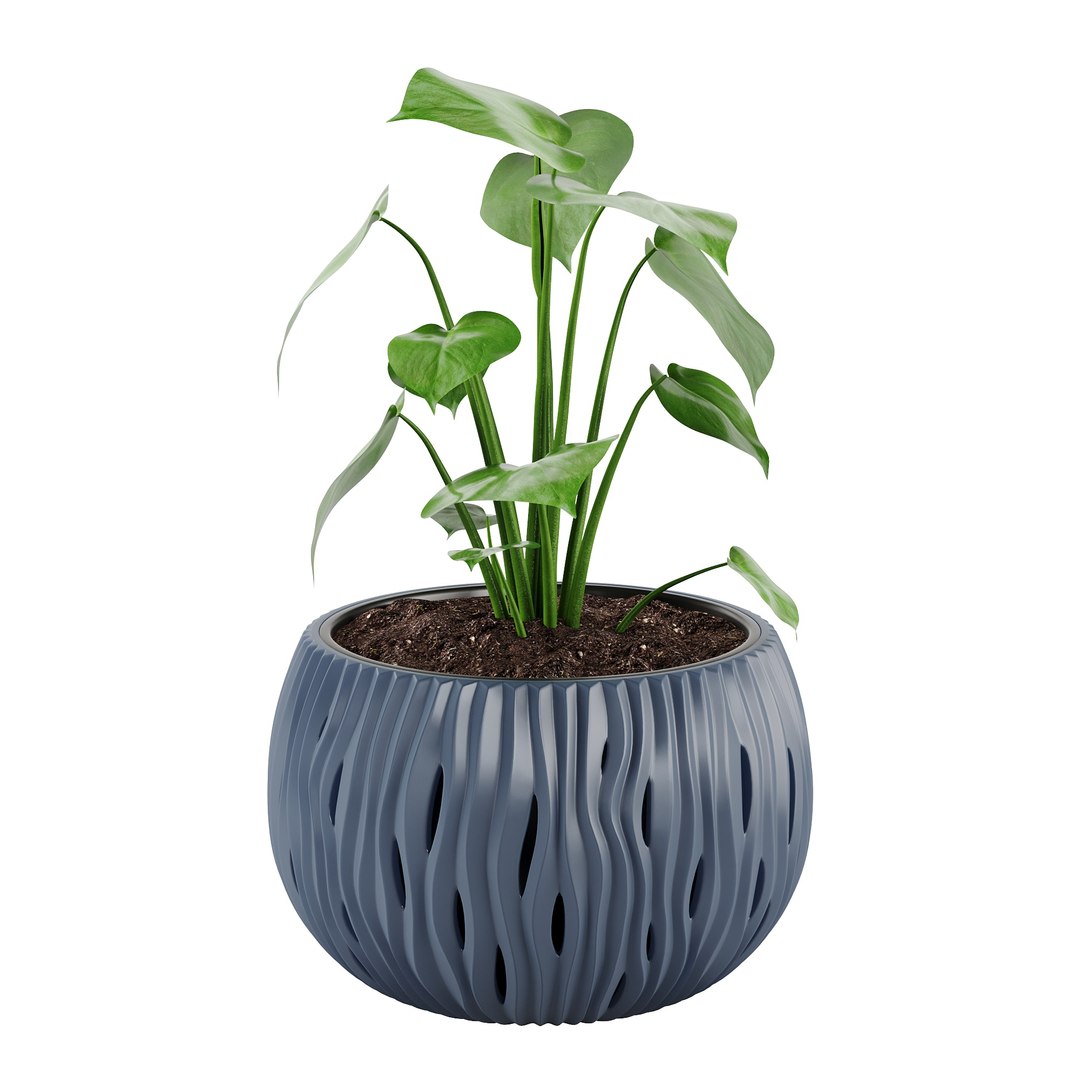 3D Houseplant 91 Prosperplast Sandy Bowl planters https://p.turbosquid.com/ts-thumb/sp/U9mF1Y/cJ/06/jpg/1746507554/1920x1080/fit_q87/69314d0e5695f680e10452a55a93b83eb568023f/06.jpg