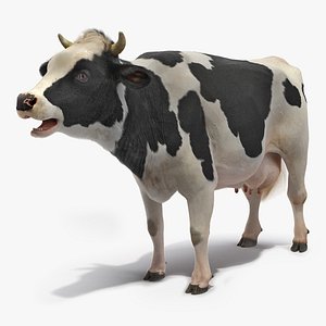 Animated Cow Mooing Rigged 3D Model