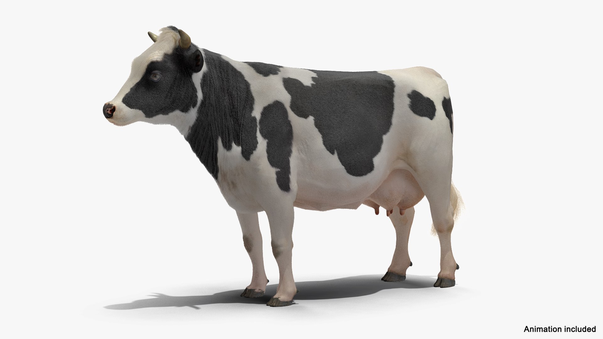 Cow Mooing Farm Animal 3D Model - TurboSquid 1417819