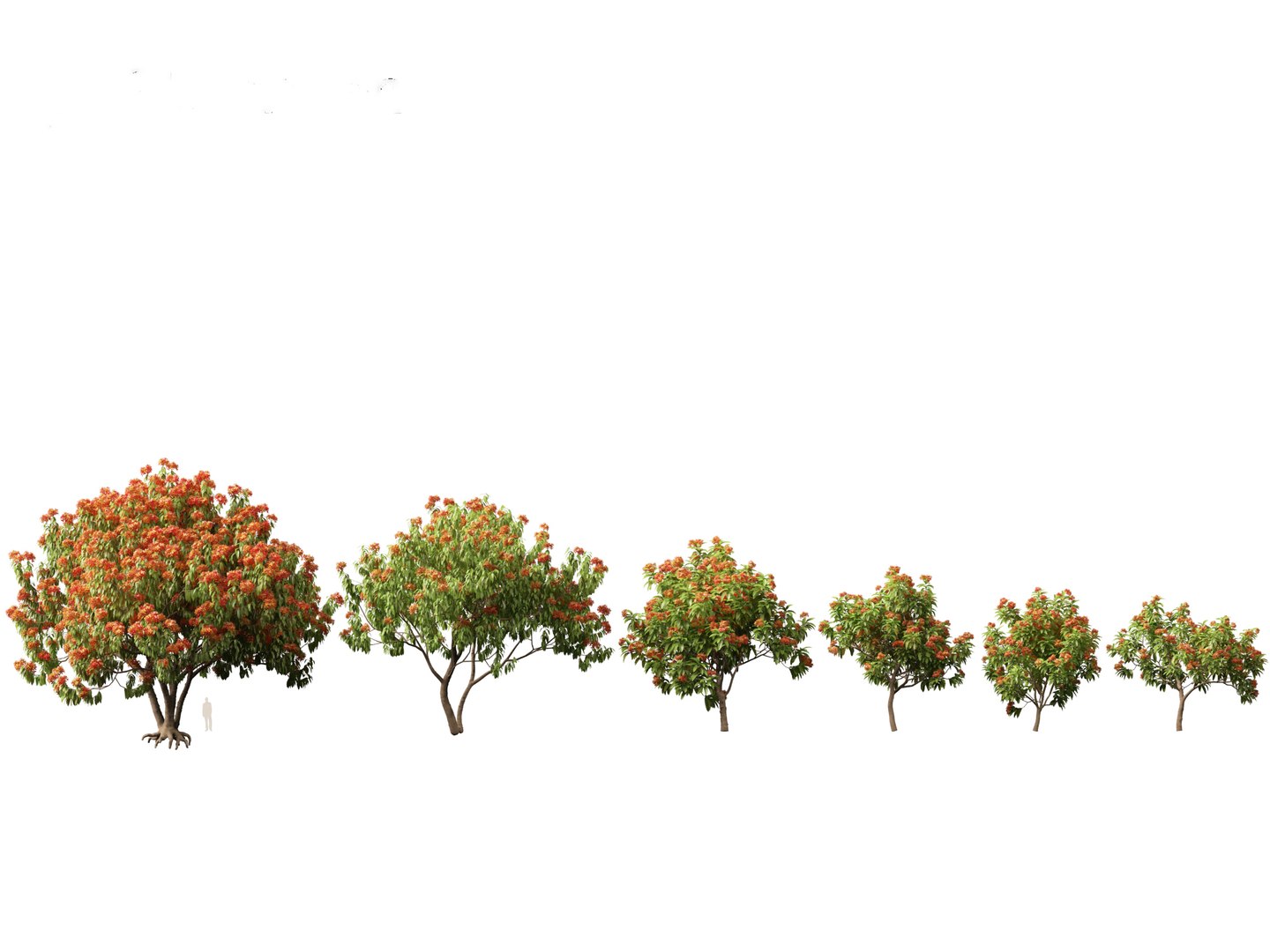 Flowering Garden Shrubs Pack 47 3D model https://p.turbosquid.com/ts-thumb/sp/gnvOTz/nE/saracaasoca011/jpg/1760106103/1920x1080/fit_q87/d37c54848f86295ca6b3d75162c02fae1926783b/saracaasoca011.jpg
