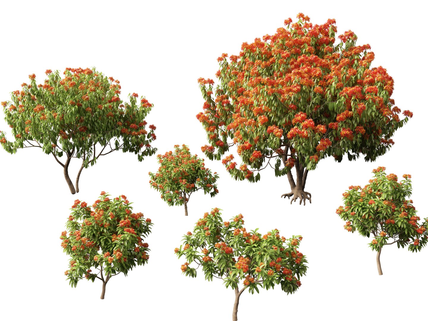 Flowering Garden Shrubs Pack 47 3D model https://p.turbosquid.com/ts-thumb/sp/gnvOTz/tk/saracaasoca019/jpg/1760106105/1920x1080/fit_q87/1ac70ba530ab3d902c346cfd32dd93345fc29a8d/saracaasoca019.jpg