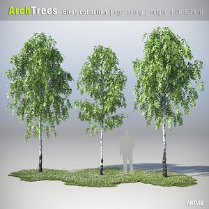 archtrees trees 3d model