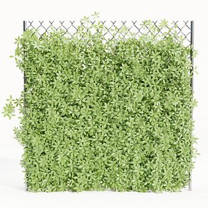 3D model Virginia creeper on fence vol 182-Blender-3dmodel