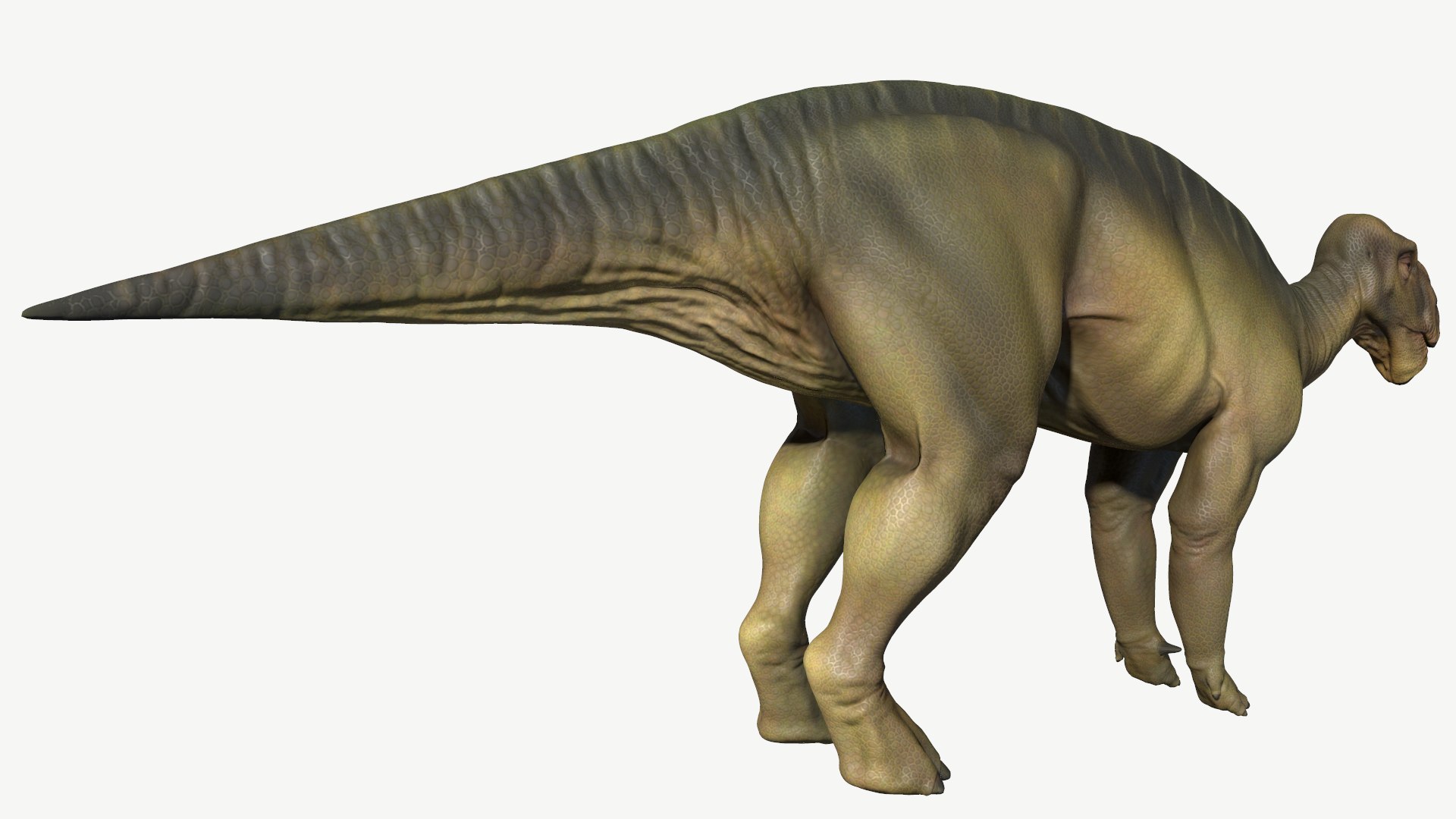 3D iguanodon https://p.turbosquid.com/ts-thumb/sq/7u2a8n/5l/3/png/1728612849/1920x1080/fit_q87/552795ead5a2cde572146f1a0cec3e5e4c43e8fe/3.jpg