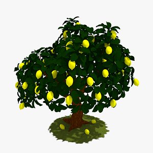 3d lemon tree model
