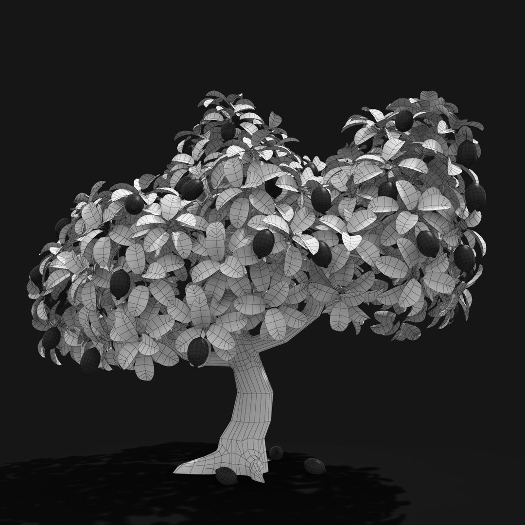 3d Lemon Tree Model