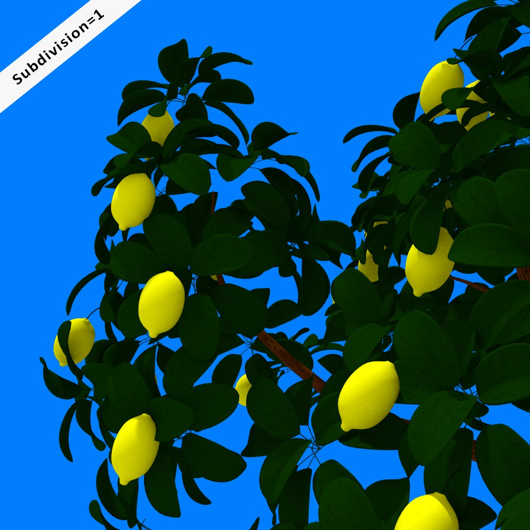 3d Lemon Tree Model