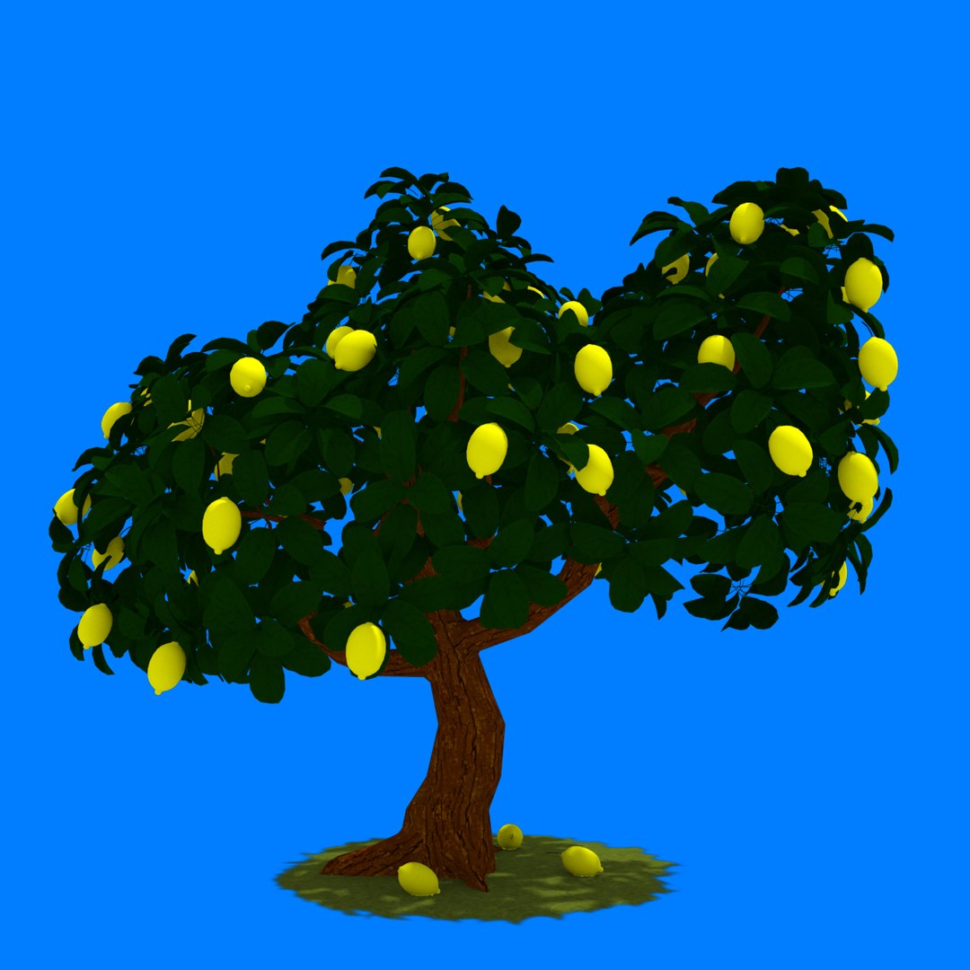 3d Lemon Tree Model