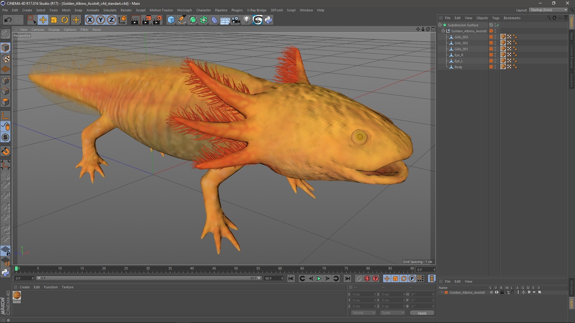 Golden Albino Axolotl 3D https://p.turbosquid.com/ts-thumb/sq/MuVRzW/62/goldenalbinoaxolotlmb3dmodel022/jpg/1711487144/1920x1080/fit_q87/b125b976b497bebac04884d04b17cbd7e7ab0cae/goldenalbinoaxolotlmb3dmodel022.jpg