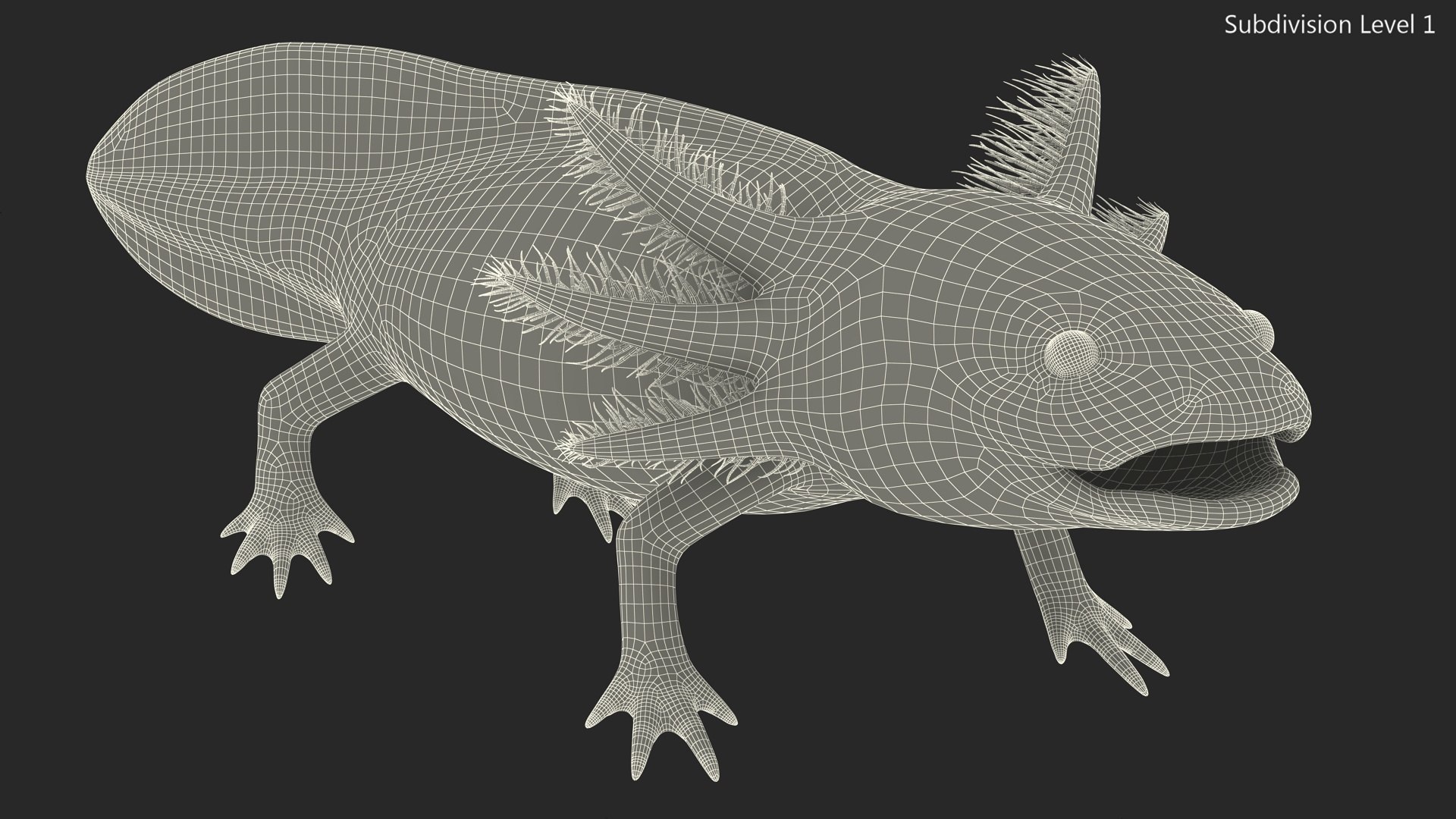 Golden Albino Axolotl 3D https://p.turbosquid.com/ts-thumb/sq/MuVRzW/7H/goldenalbinoaxolotlmb3dmodel016/jpg/1711487117/1920x1080/fit_q87/76af013981c1787a3cd58512098f967b236f3dfe/goldenalbinoaxolotlmb3dmodel016.jpg