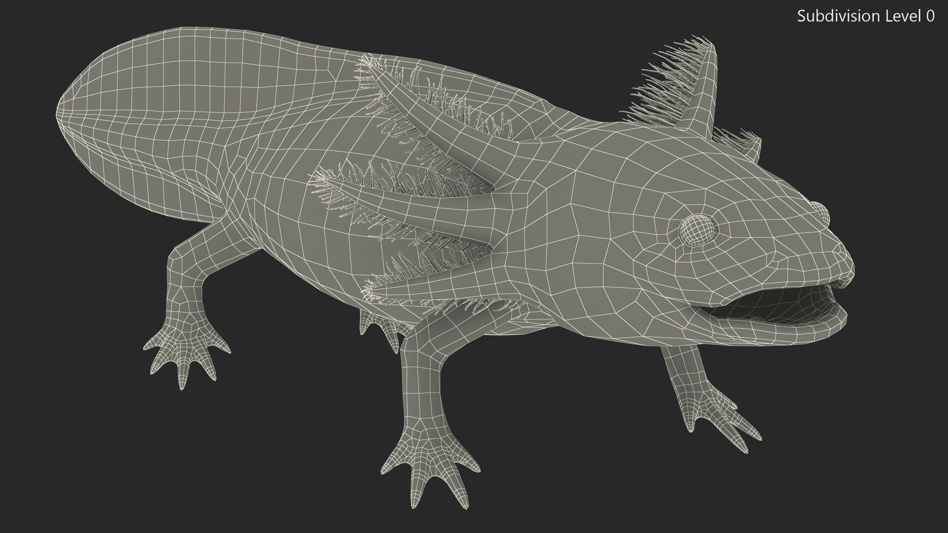 Golden Albino Axolotl 3D https://p.turbosquid.com/ts-thumb/sq/MuVRzW/rr/goldenalbinoaxolotlmb3dmodel015/jpg/1711487114/1920x1080/fit_q87/dedeeadf797b75b04bf76b27ca719ccb3aca7b84/goldenalbinoaxolotlmb3dmodel015.jpg