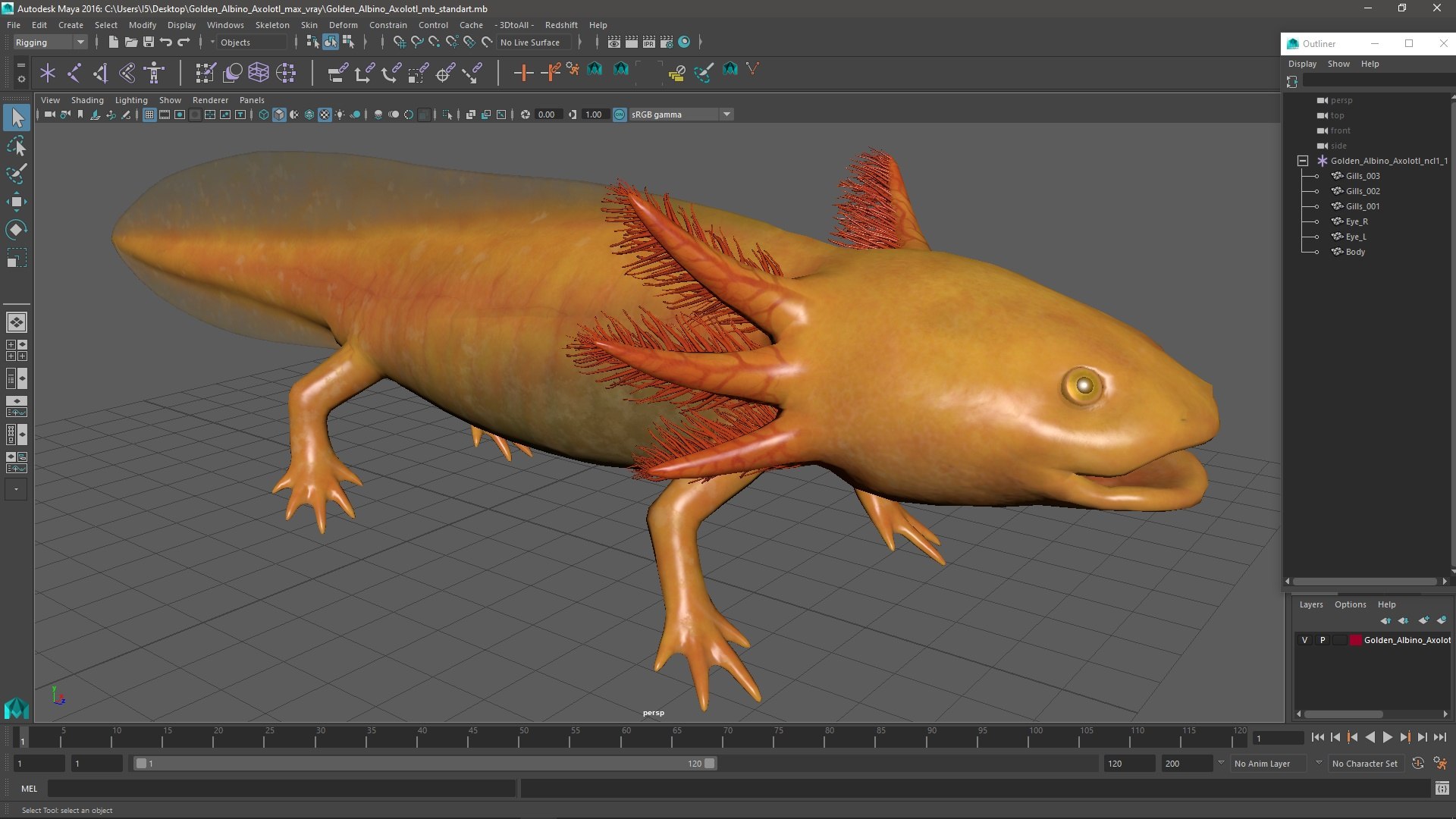 Golden Albino Axolotl 3D https://p.turbosquid.com/ts-thumb/sq/MuVRzW/yG/goldenalbinoaxolotlmb3dmodel023/jpg/1711487148/1920x1080/fit_q87/98935a90a48915edc1bec44ee58f226e60a8b8dc/goldenalbinoaxolotlmb3dmodel023.jpg