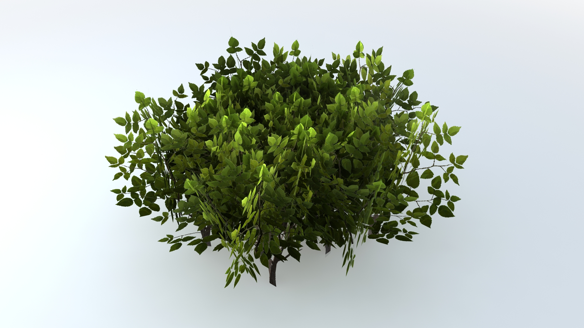 3D model Shrub Bush - TurboSquid 1847980