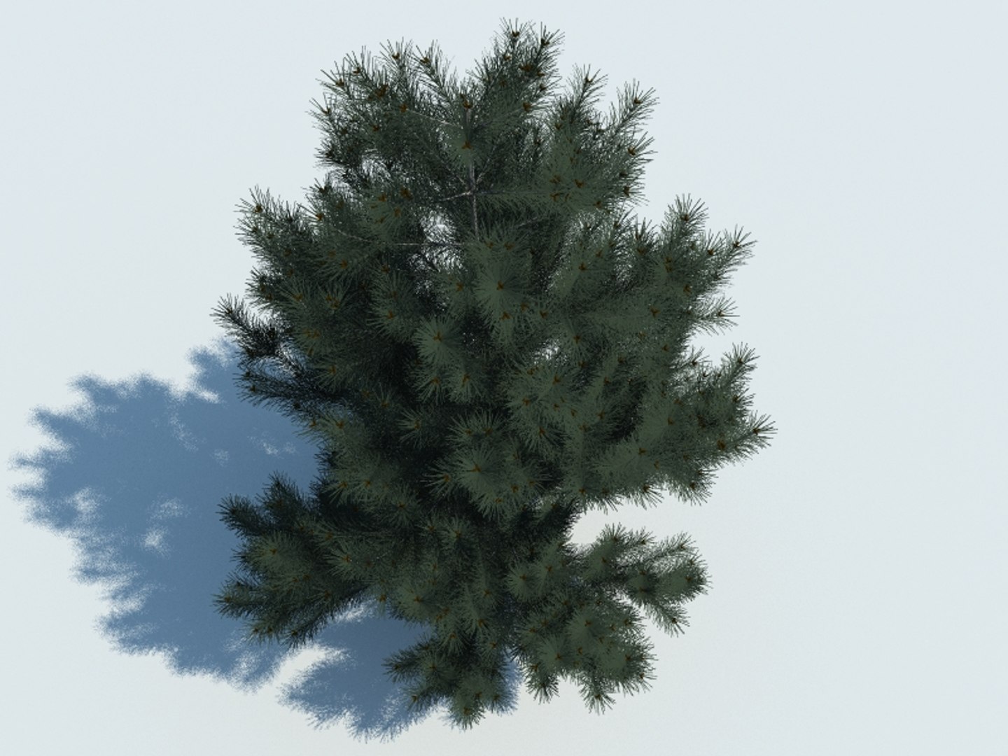 3d max realistic pine tree https://p.turbosquid.com/ts-thumb/sq/WZPbFd/ZfO1Pb7W/4render/jpg/1426056692/1920x1080/fit_q87/32e2d7004d0b18ea83f3e510e92f7224018bc37b/4render.jpg