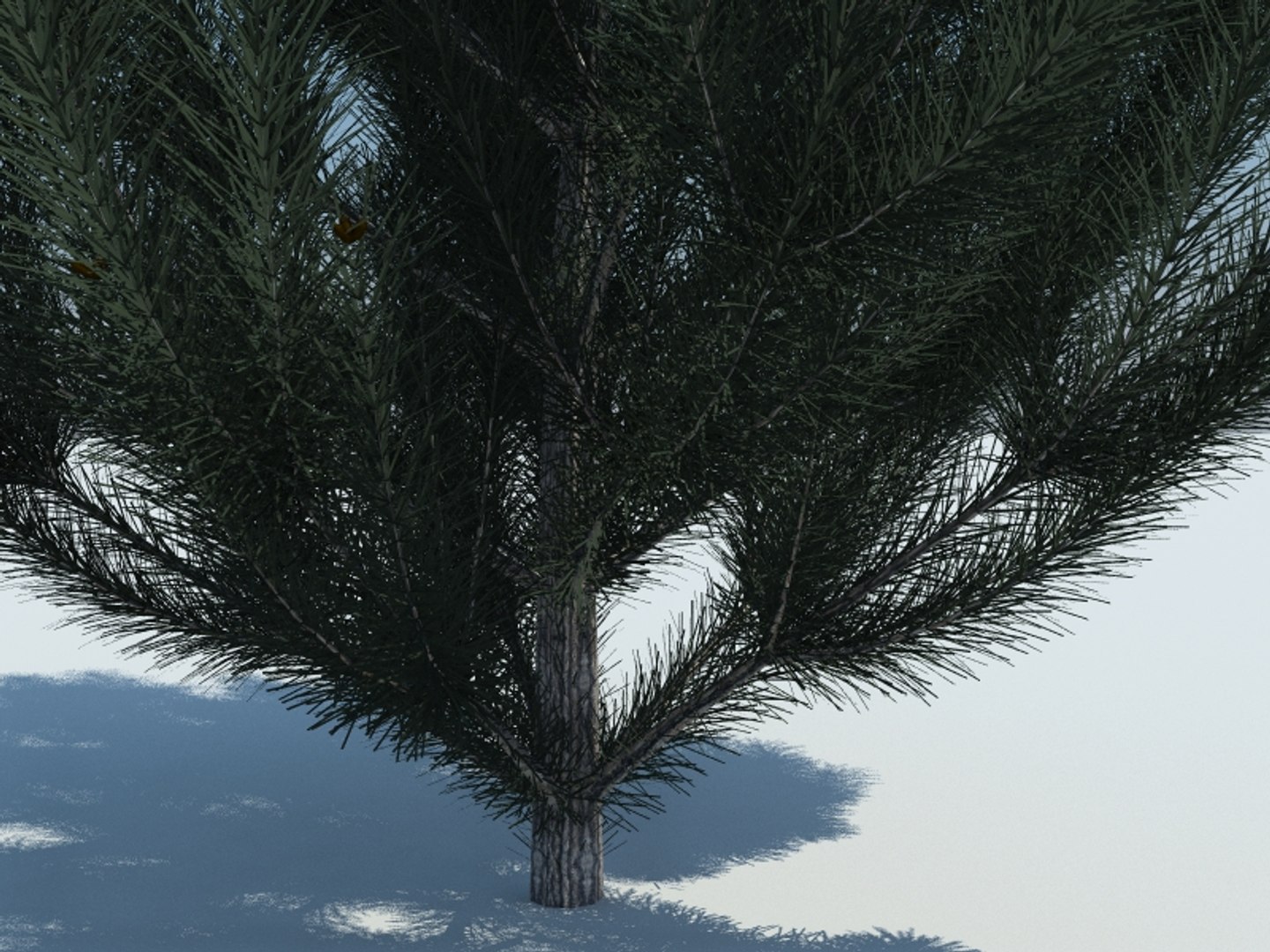 3d max realistic pine tree https://p.turbosquid.com/ts-thumb/sq/WZPbFd/nZCbaqV0/3render/jpg/1426056692/1920x1080/fit_q87/88343d996147e6acba55c6faae88da55b300a7da/3render.jpg