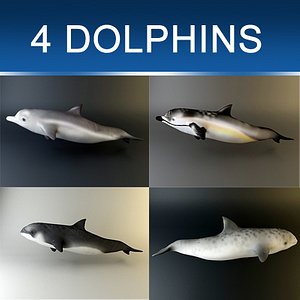 3d obj pack dolphins