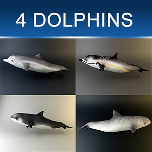 Dolphin pack X 4