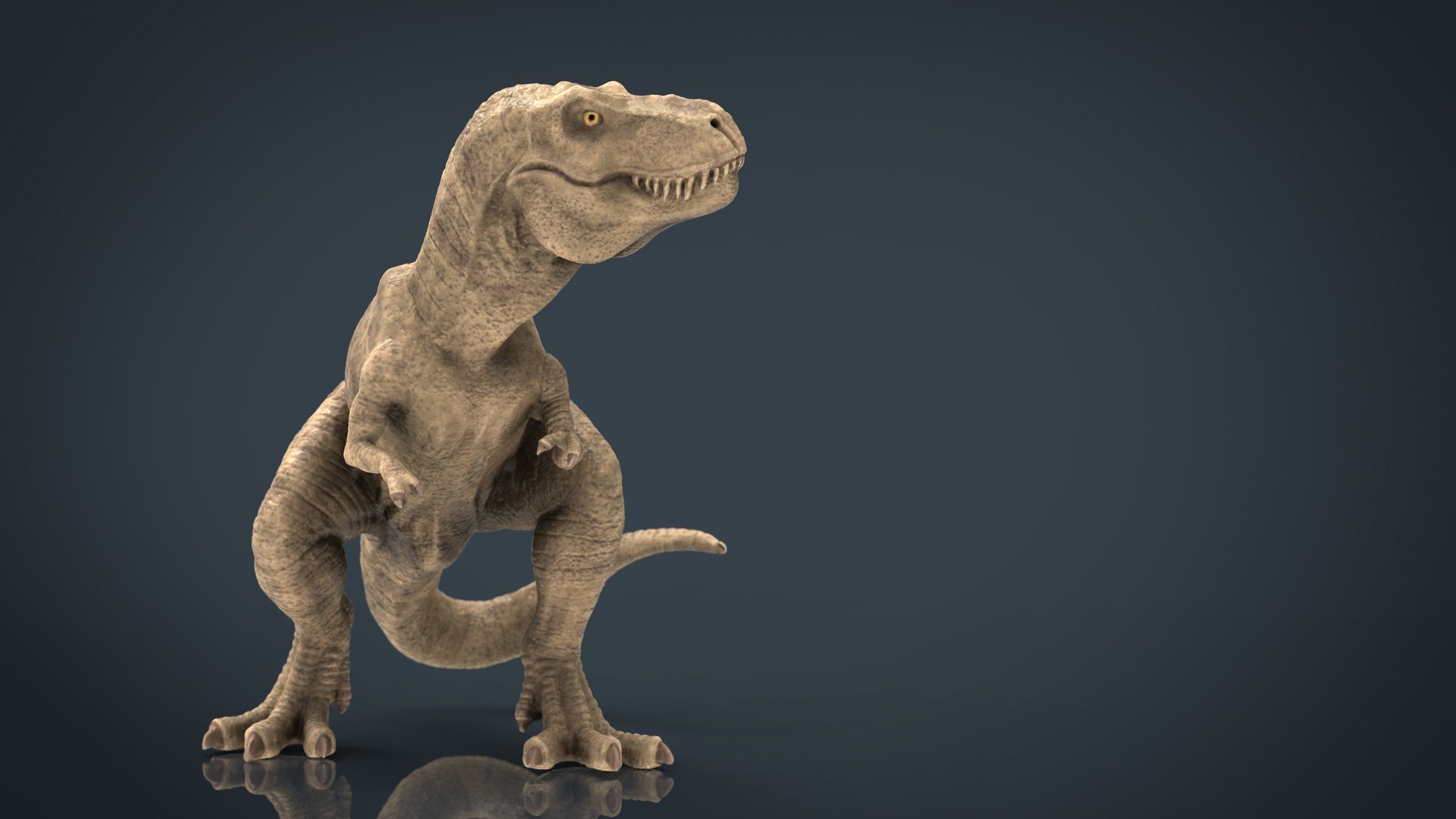 Tyranossaurus Rex Sculpture 3D - TurboSquid 1422682