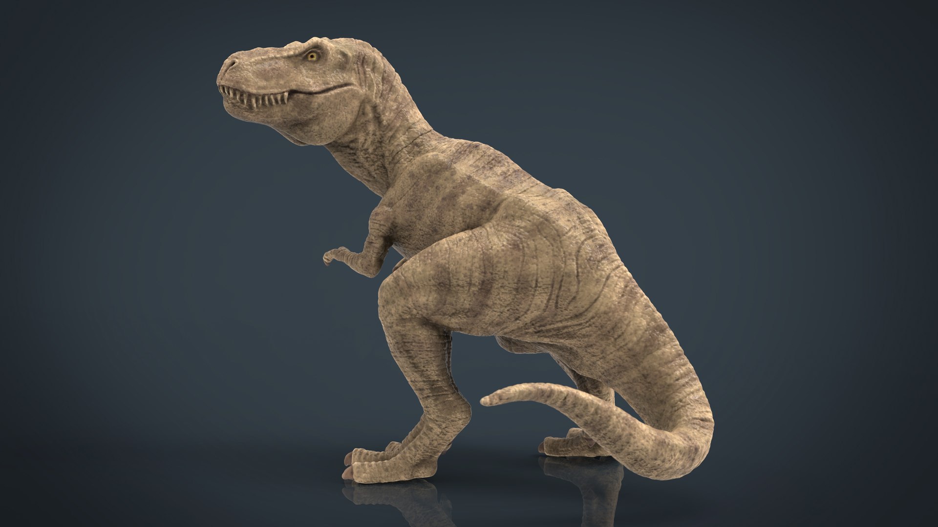 Tyranossaurus Rex Sculpture 3D - TurboSquid 1422682