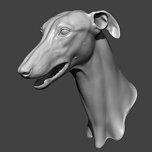 3D Dog Head Highpoly Sculpt