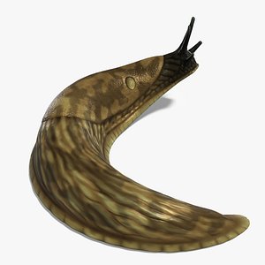 3D Slug