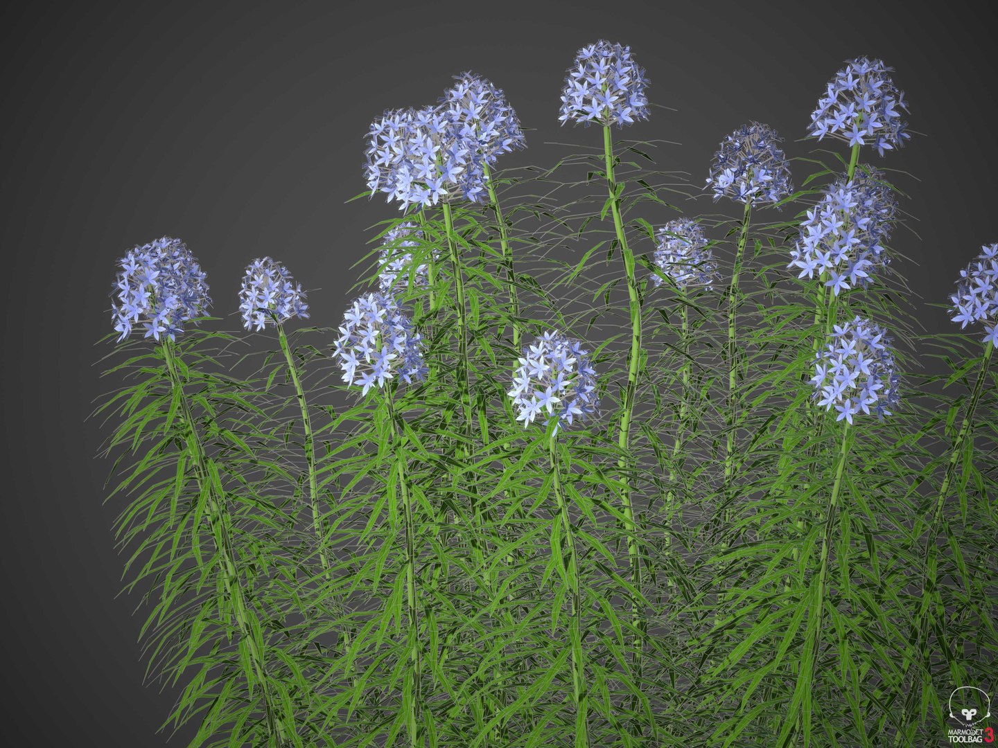XfrogPlants Narrowleaf Bluestar - Amsonia Hubritchtii 3D model https://p.turbosquid.com/ts-thumb/sq/t9vRI6/ku/wireframe2/jpg/1618433443/1920x1080/fit_q87/6deba692f2906ff43757c794372fa8b1bdd6c235/wireframe2.jpg