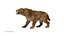 Smilodon Populator