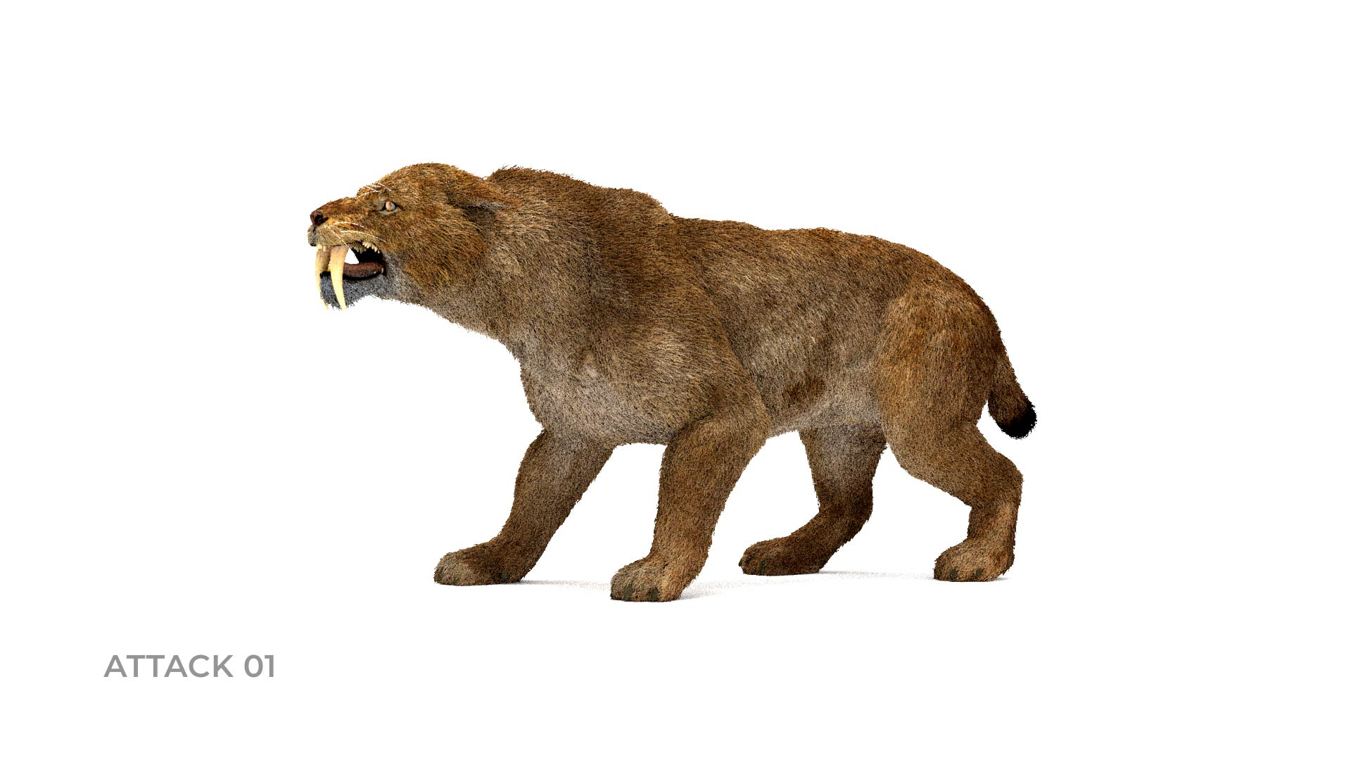 15 Smilodon Stock Pictures, Editorial Images and Stock Photos | Shutterstock