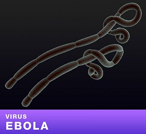 Virus Ebola