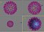 virus.max