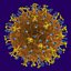 virus.max