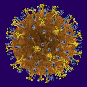 virus.max