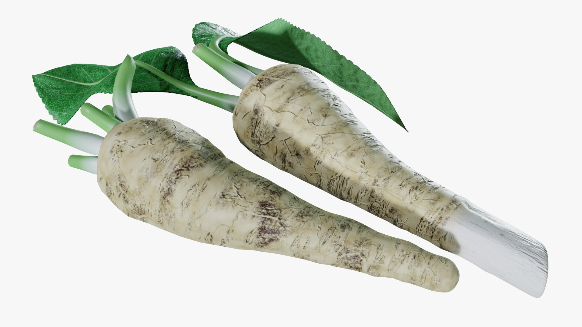 3D Horseradish roots model https://p.turbosquid.com/ts-thumb/sr/5xIJpy/4q/0003/jpg/1672224266/1920x1080/fit_q87/0bff7e95ccbb5a02d6ca57f098f6396e878378d4/0003.jpg