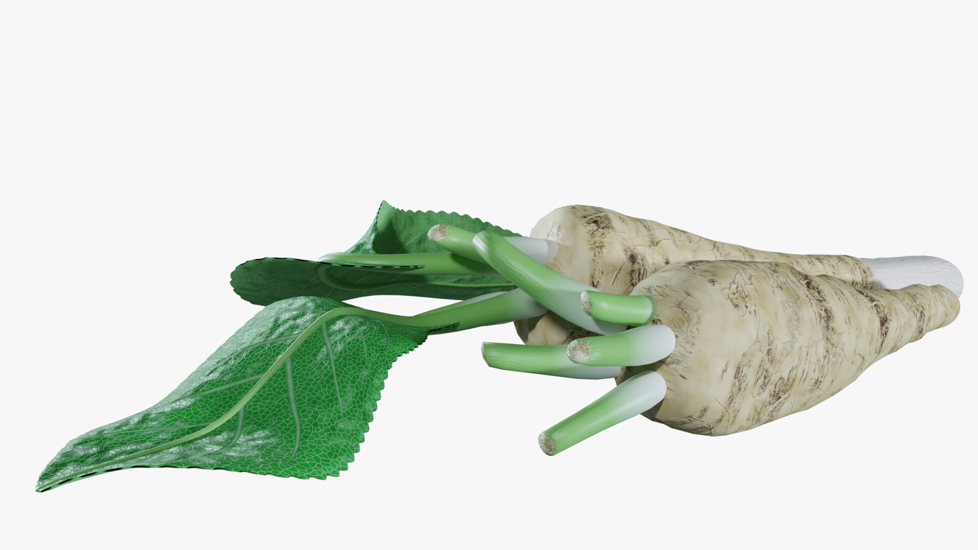 3D Horseradish roots model https://p.turbosquid.com/ts-thumb/sr/5xIJpy/BM/0012/jpg/1672224272/1920x1080/fit_q87/42851c35ee11c18f7ba461cbb6a33190c1a23109/0012.jpg