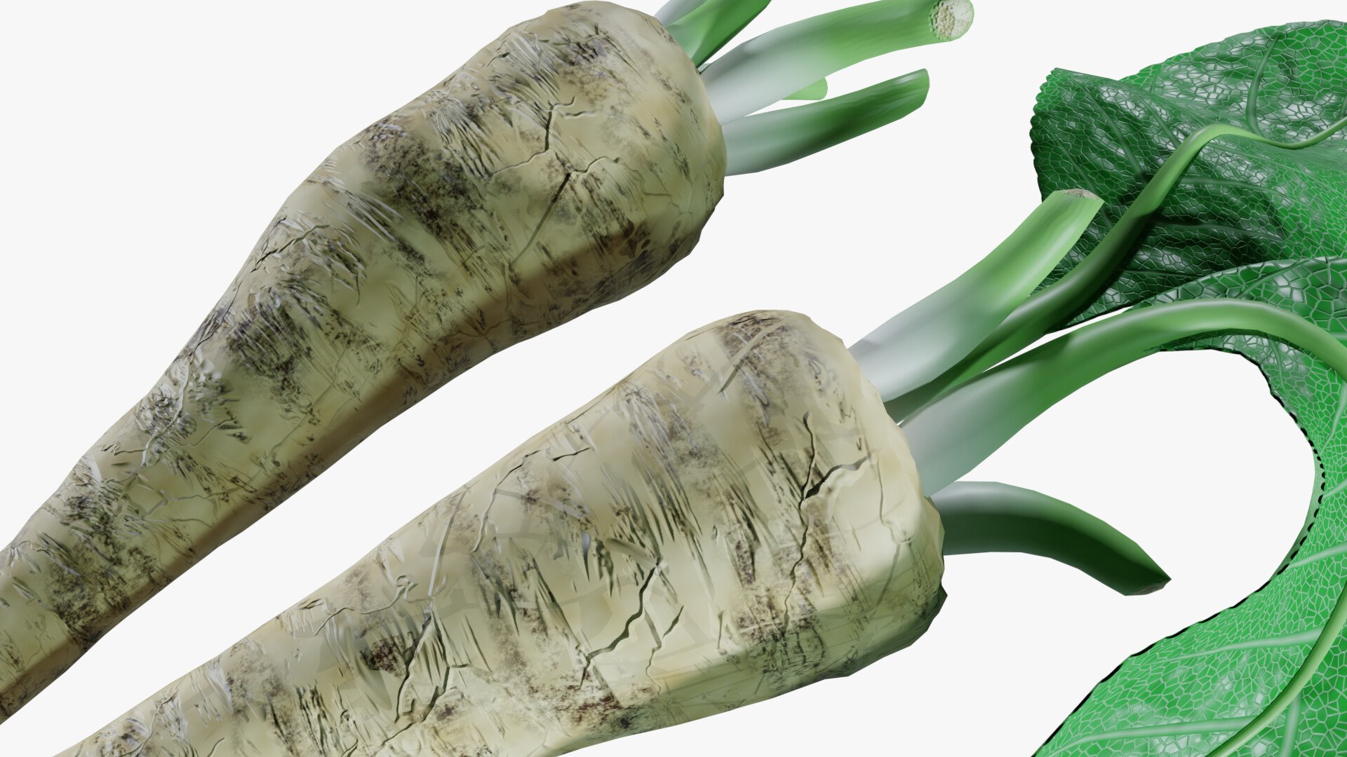 3D Horseradish roots model https://p.turbosquid.com/ts-thumb/sr/5xIJpy/C3/0009/jpg/1672224271/1920x1080/fit_q87/410cd73d30251a2649ecc58395955b684888e17d/0009.jpg