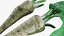 Horseradish roots