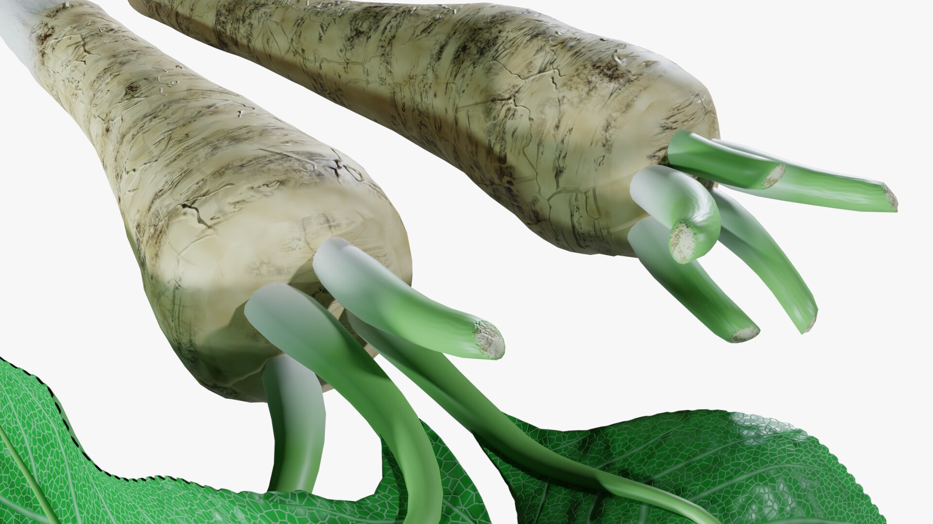 3D Horseradish roots model https://p.turbosquid.com/ts-thumb/sr/5xIJpy/M2/0010/jpg/1672224271/1920x1080/fit_q87/8dd88b374e6e8d69c9e4e6fd3b74db06a46537c7/0010.jpg