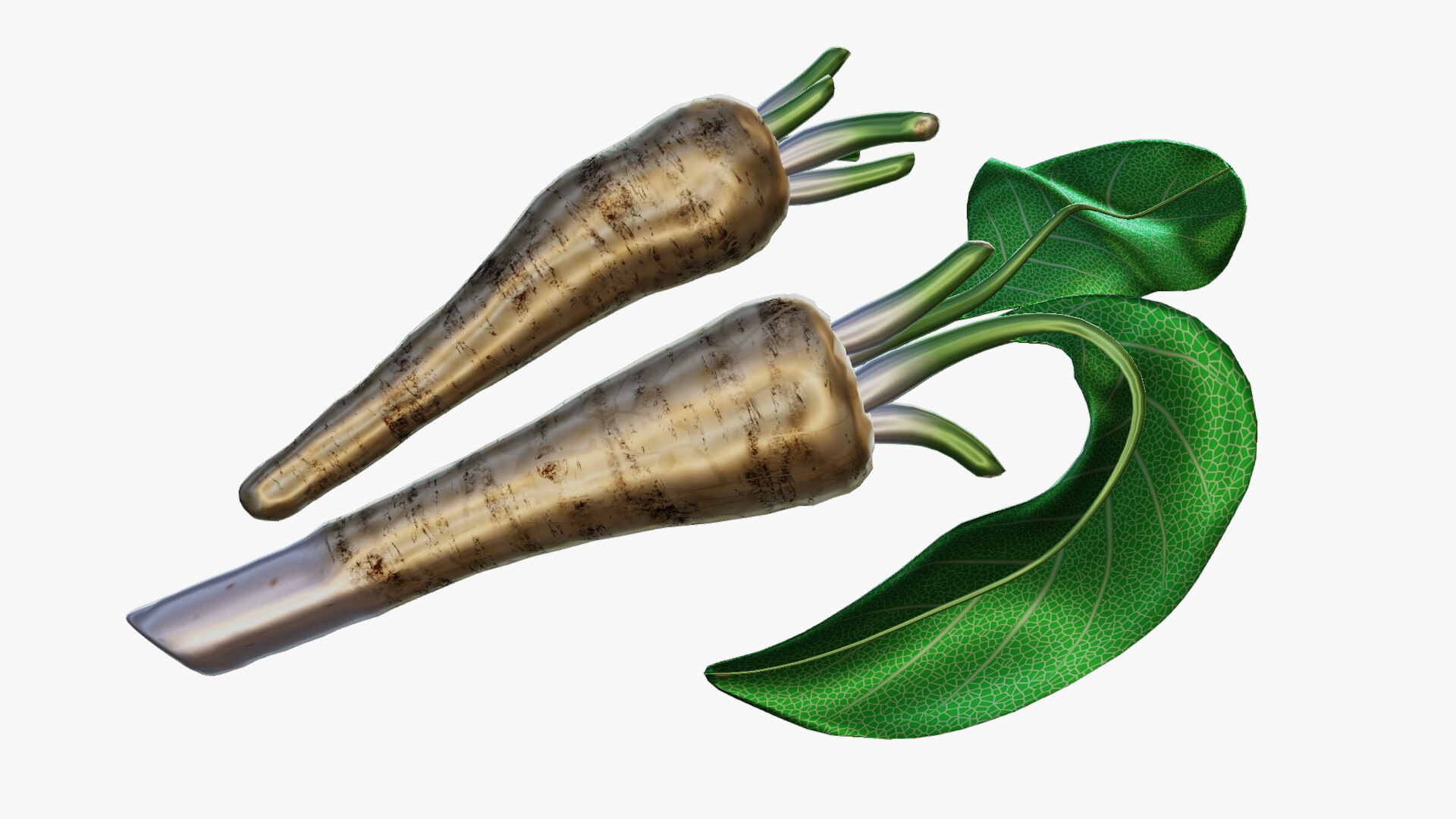 3D Horseradish roots model https://p.turbosquid.com/ts-thumb/sr/5xIJpy/OA/0026/jpg/1672224282/1920x1080/fit_q87/a1bffc4329da8fb4c16bffadad95d03017ac127b/0026.jpg
