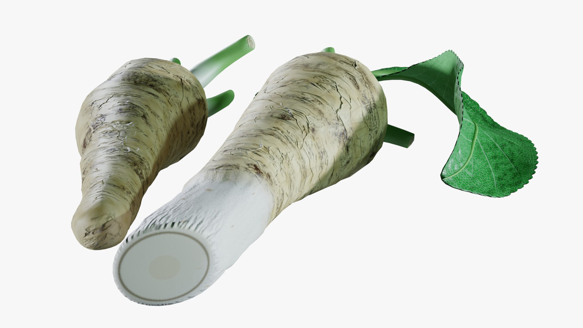 3D Horseradish roots model https://p.turbosquid.com/ts-thumb/sr/5xIJpy/ak/0007/jpg/1672224269/1920x1080/fit_q87/ea15cb9d2ae946626d78e5f6e792ff8478ddf612/0007.jpg