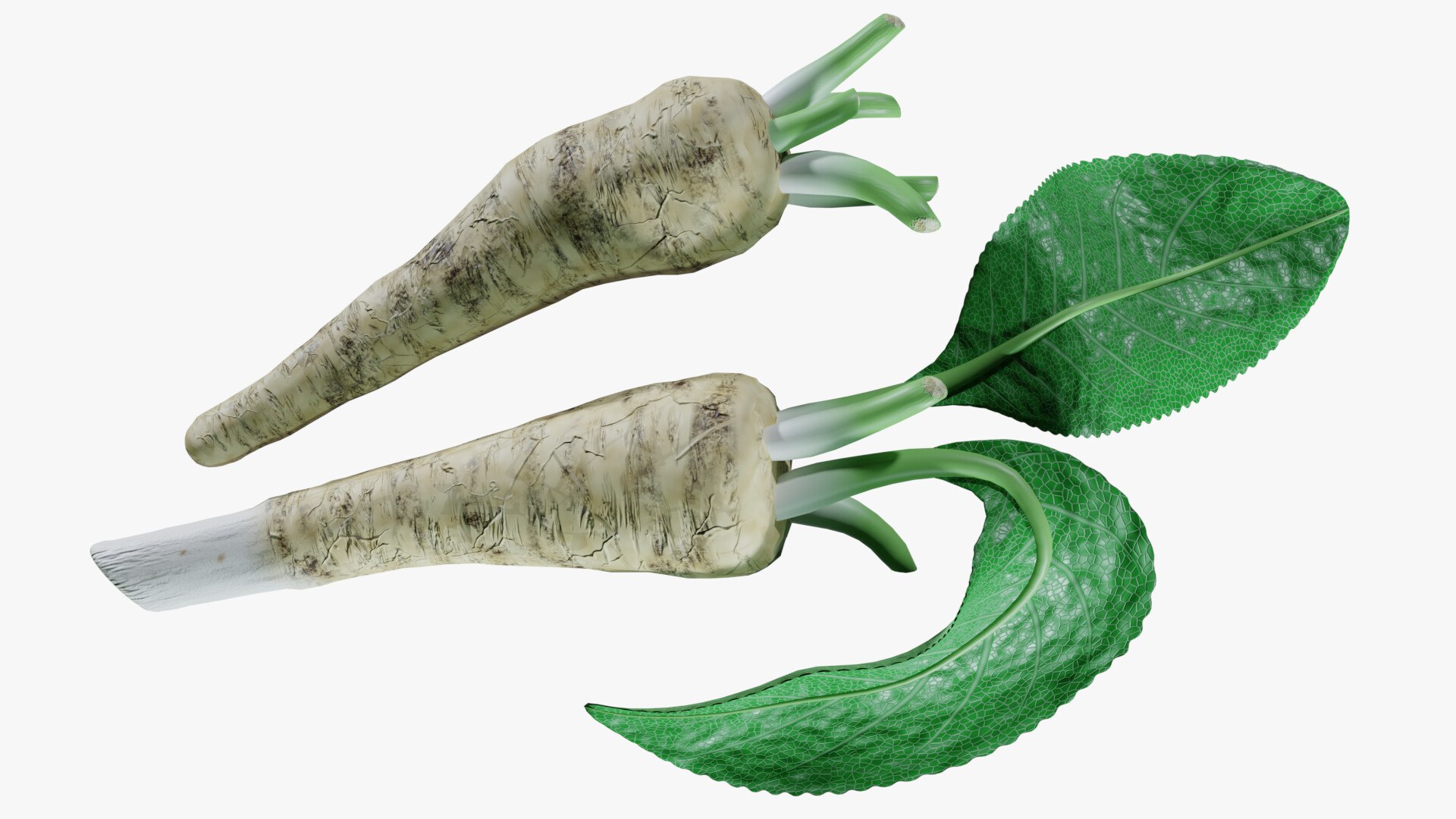 3D Horseradish roots model https://p.turbosquid.com/ts-thumb/sr/5xIJpy/kR/0005/jpg/1672224267/1920x1080/fit_q87/d459f230f484a861f8f2cbb99d39513ab8760c66/0005.jpg