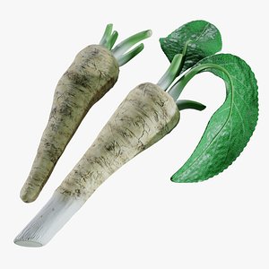 3D Horseradish roots model