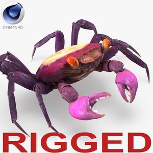 3d vampire crab geosesarma rigged