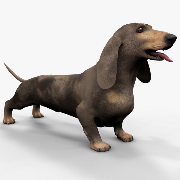 3D Dachshund Rigged L1867