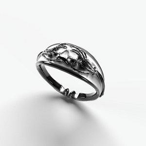 Ring skeleton