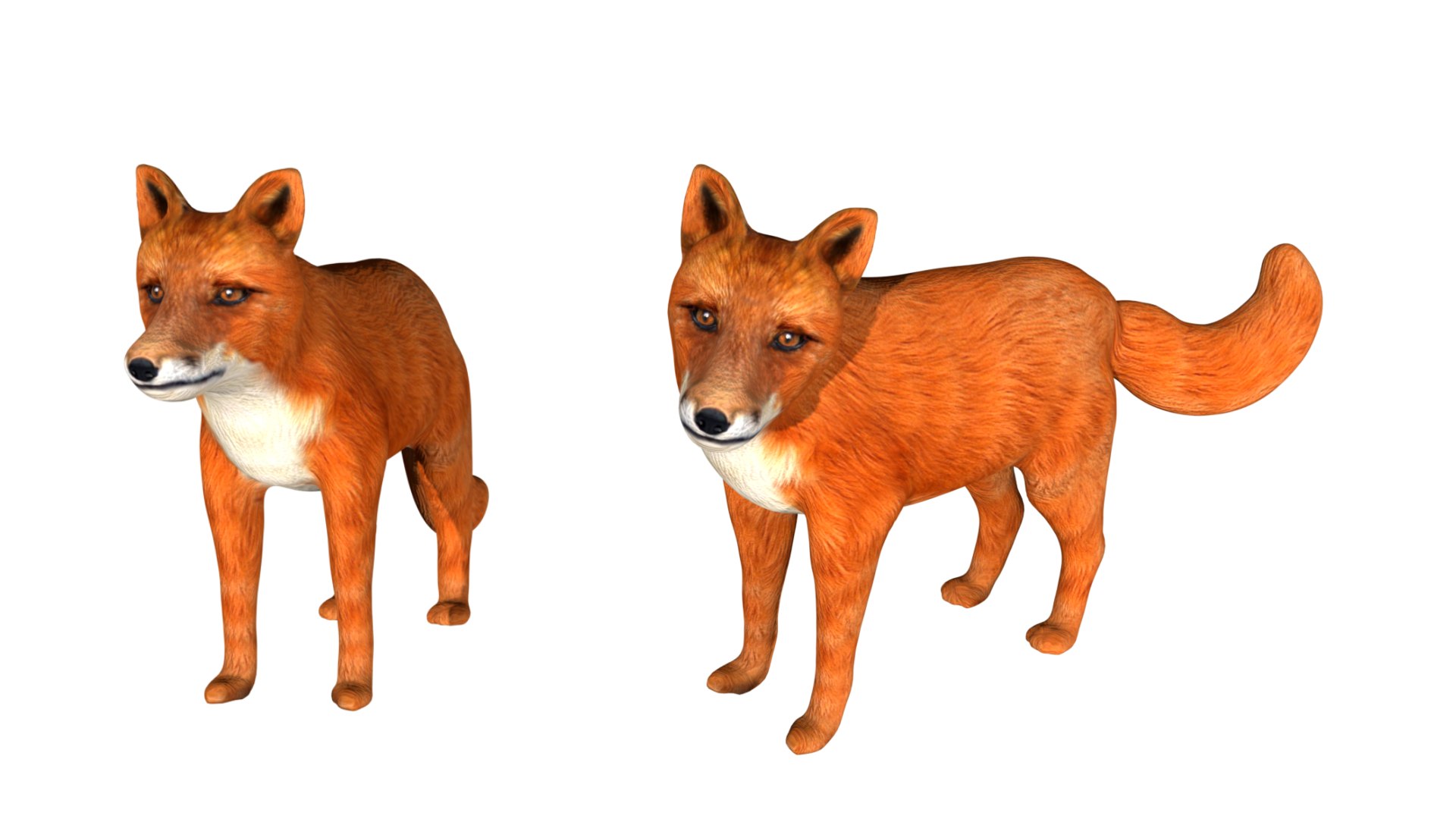 3D model Rigged low poly Fox - TurboSquid 1755007