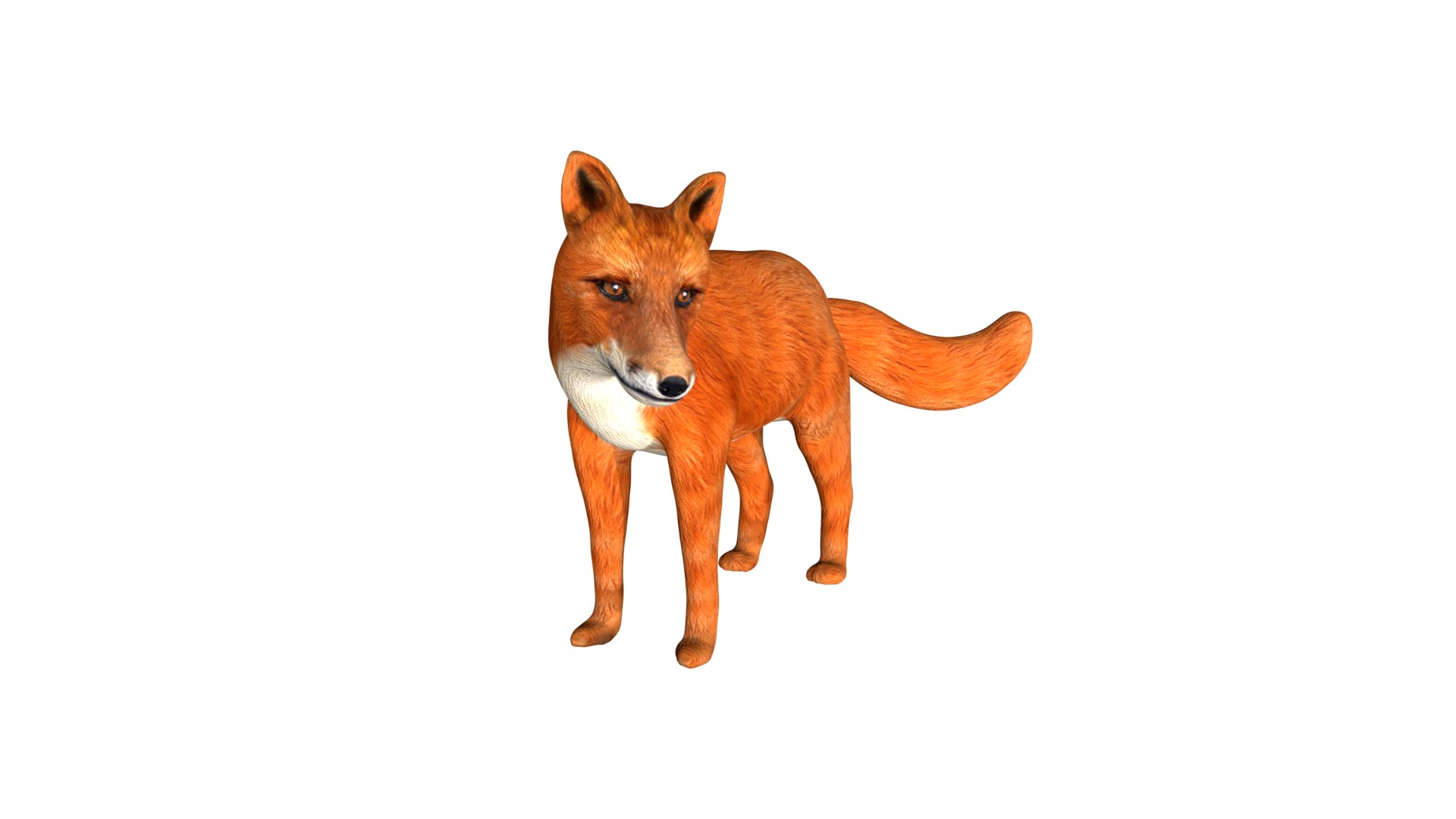 3D model Rigged low poly Fox - TurboSquid 1755007
