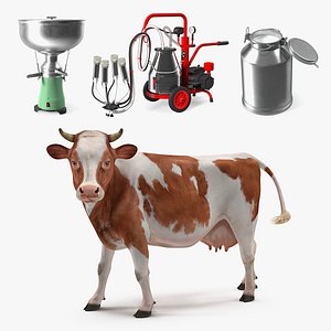 Cow with Farm Equipment Collection