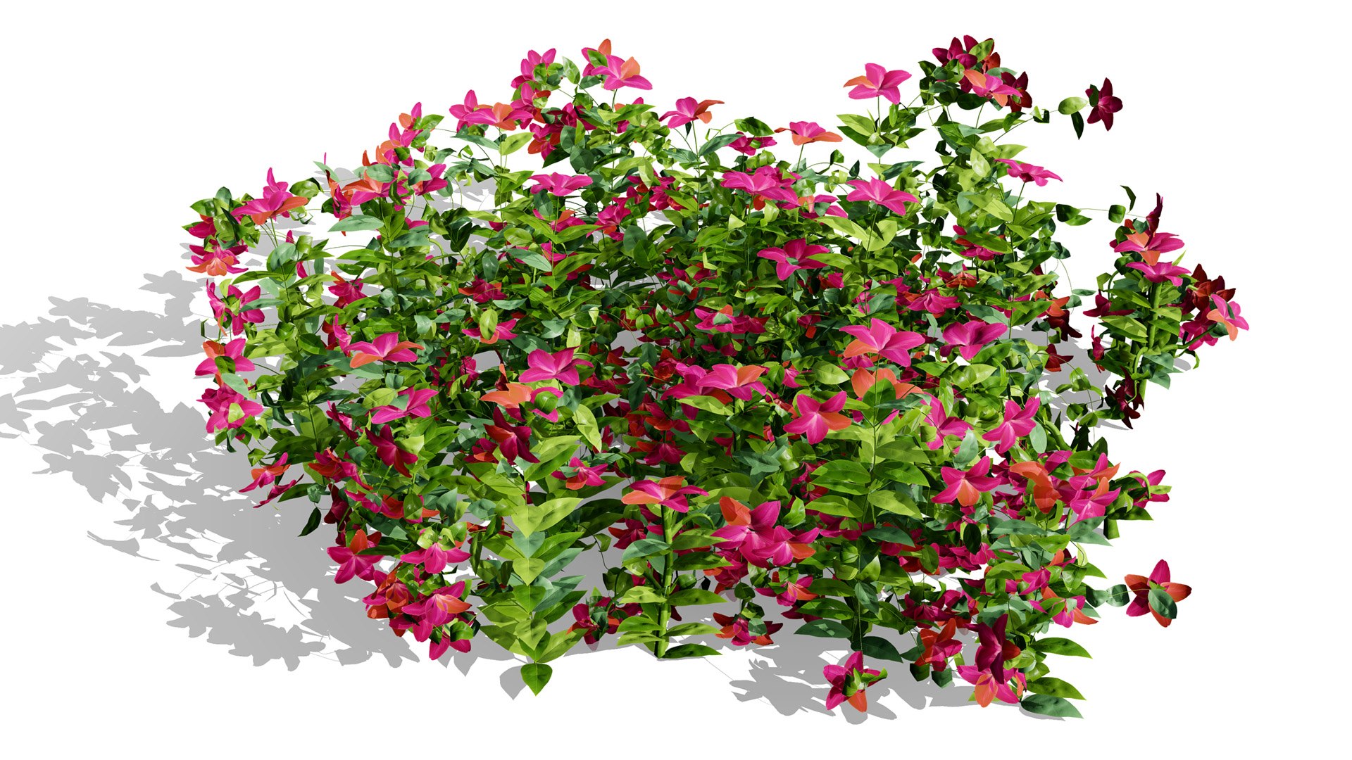 Photorealistic Vinca Minor Plant Collection 3D model https://p.turbosquid.com/ts-thumb/sr/PNCSXz/1v/vincaminorvariation3l/jpg/1774220981/1920x1080/fit_q87/917263b9696812d27f61dc3da35b770d4e55e33e/vincaminorvariation3l.jpg