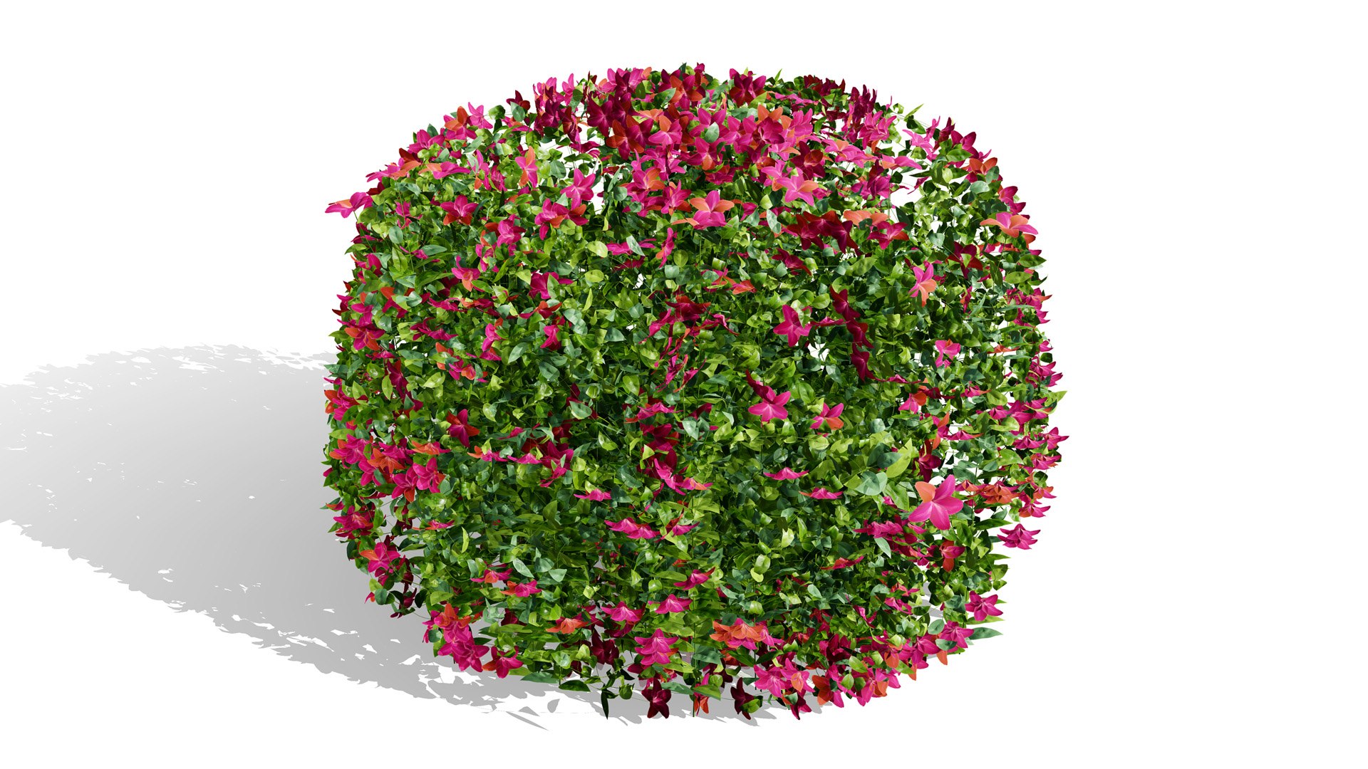 Photorealistic Vinca Minor Plant Collection 3D model https://p.turbosquid.com/ts-thumb/sr/PNCSXz/7W/vincaminorvariation254sl/jpg/1774220978/1920x1080/fit_q87/900f661698e9e94a092c2379f35f104b0caba95d/vincaminorvariation254sl.jpg